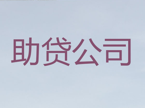 娄底贷款公司